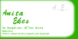 anita ekes business card